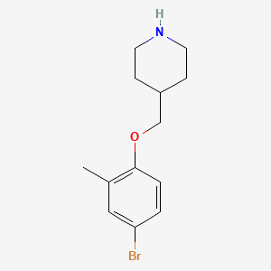 molecular formula C13H18BrNO B3171982 4-[(4-Bromo-2-methylphenoxy)methyl]piperidine CAS No. 946714-05-2