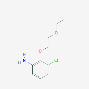 molecular formula C11H16ClNO2 B3172026 3-Chloro-2-(2-propoxyethoxy)aniline CAS No. 946714-60-9