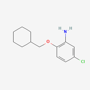 molecular formula C13H18ClNO B3172063 5-Chloro-2-(cyclohexylmethoxy)aniline CAS No. 946714-94-9