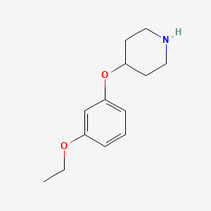 molecular formula C13H19NO2 B3172071 4-(3-Ethoxyphenoxy)piperidine CAS No. 946715-01-1
