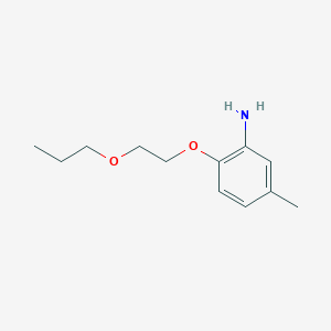 molecular formula C12H19NO2 B3172140 5-Methyl-2-(2-propoxyethoxy)aniline CAS No. 946715-69-1