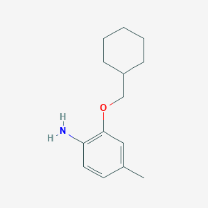 molecular formula C14H21NO B3172178 2-(Cyclohexylmethoxy)-4-methylaniline CAS No. 946716-10-5