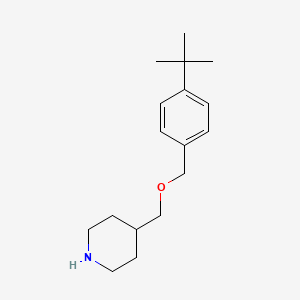 molecular formula C17H27NO B3172313 4-(tert-Butyl)benzyl 4-piperidinylmethyl ether CAS No. 946725-23-1