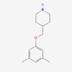 molecular formula C14H21NO B3172322 4-[(3,5-Dimethylphenoxy)methyl]piperidine CAS No. 946725-35-5