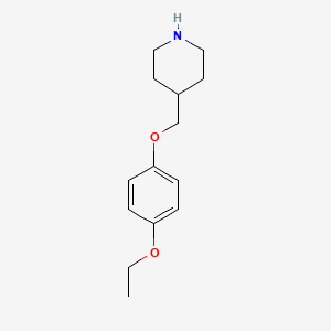 molecular formula C14H21NO2 B3172329 4-[(4-Ethoxyphenoxy)methyl]piperidine CAS No. 946725-38-8