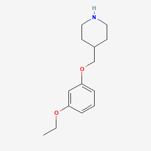 molecular formula C14H21NO2 B3172338 4-[(3-Ethoxyphenoxy)methyl]piperidine CAS No. 946725-53-7