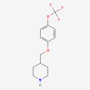 molecular formula C13H16F3NO2 B3172339 4-{[4-(Trifluoromethoxy)phenoxy]methyl}piperidine CAS No. 946725-56-0