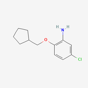 molecular formula C12H16ClNO B3172428 5-Chloro-2-(cyclopentylmethoxy)aniline CAS No. 946727-66-8