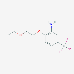 molecular formula C11H14F3NO2 B3172445 2-(2-乙氧基乙氧基)-5-(三氟甲基)苯胺 CAS No. 946727-90-8