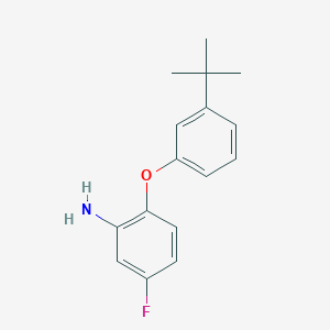 molecular formula C16H18FNO B3172607 2-[3-(Tert-butyl)phenoxy]-5-fluorophenylamine CAS No. 946729-46-0