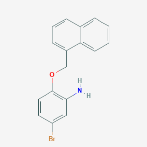 molecular formula C17H14BrNO B3172899 5-Bromo-2-(1-naphthylmethoxy)phenylamine CAS No. 946743-28-8