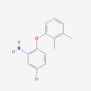 molecular formula C14H14BrNO B3172917 5-Bromo-2-(2,3-dimethylphenoxy)aniline CAS No. 946743-40-4