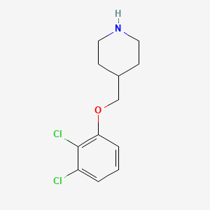 molecular formula C12H15Cl2NO B3172973 4-[(2,3-Dichlorophenoxy)methyl]piperidine CAS No. 946758-55-0