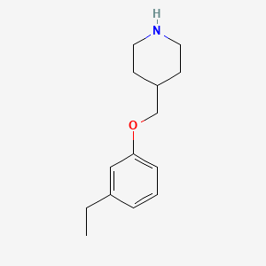 molecular formula C14H21NO B3172977 4-[(3-Ethylphenoxy)methyl]piperidine CAS No. 946758-67-4