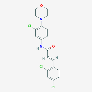 molecular formula C19H17Cl3N2O2 B317302 (2E)-N-[3-chloro-4-(morpholin-4-yl)phenyl]-3-(2,4-dichlorophenyl)prop-2-enamide 