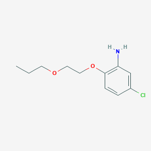 molecular formula C11H16ClNO2 B3173094 5-Chloro-2-(2-propoxyethoxy)aniline CAS No. 946772-89-0