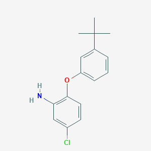 molecular formula C16H18ClNO B3173099 2-[3-(Tert-butyl)phenoxy]-5-chlorophenylamine CAS No. 946772-98-1