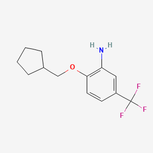 molecular formula C13H16F3NO B3173113 2-(环戊基甲氧基)-5-(三氟甲基)苯胺 CAS No. 946773-07-5