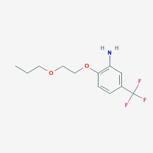 molecular formula C12H16F3NO2 B3173121 2-(2-丙氧基乙氧基)-5-(三氟甲基)苯胺 CAS No. 946773-18-8