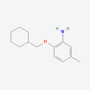 molecular formula C14H21NO B3173141 2-(Cyclohexylmethoxy)-5-methylaniline CAS No. 946773-46-2