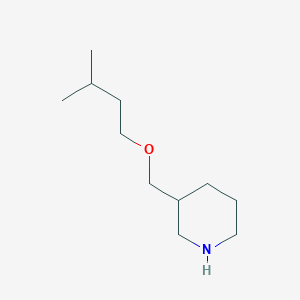 molecular formula C11H23NO B3173498 3-[(Isopentyloxy)methyl]piperidine CAS No. 946787-03-7