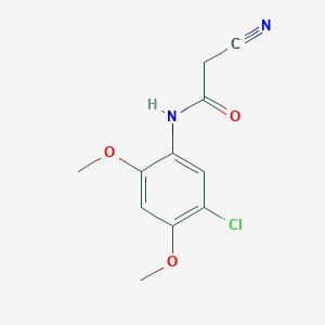 molecular formula C11H11ClN2O3 B3174198 N-(5-Chloro-2,4-dimethoxyphenyl)-2-cyanoacetamide CAS No. 952102-29-3