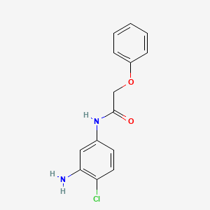 molecular formula C14H13ClN2O2 B3174543 N-(3-氨基-4-氯苯基)-2-苯氧基乙酰胺 CAS No. 953891-92-4