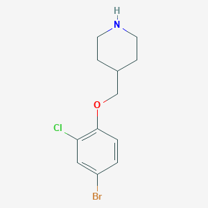 4-(4-Bromo-2-chloro-phenoxymethyl)-piperidine
