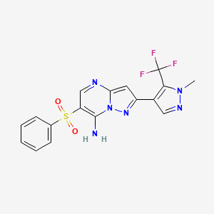 molecular formula C17H13F3N6O2S B3175054 2-[1-methyl-5-(trifluoromethyl)-1H-pyrazol-4-yl]-6-(phenylsulfonyl)pyrazolo[1,5-a]pyrimidin-7-amine CAS No. 955964-67-7