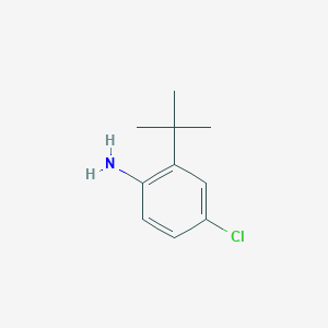 molecular formula C10H14ClN B3175808 2-Tert-butyl-4-chloroaniline CAS No. 959528-03-1