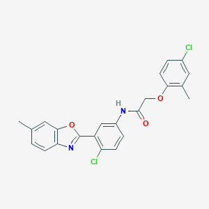 molecular formula C23H18Cl2N2O3 B317585 N-[4-chloro-3-(6-methyl-1,3-benzoxazol-2-yl)phenyl]-2-(4-chloro-2-methylphenoxy)acetamide 