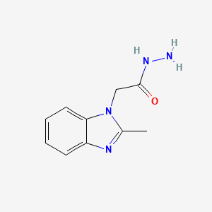 molecular formula C10H12N4O B3176095 2-(2-methyl-1H-benzimidazol-1-yl)acetohydrazide CAS No. 97420-40-1