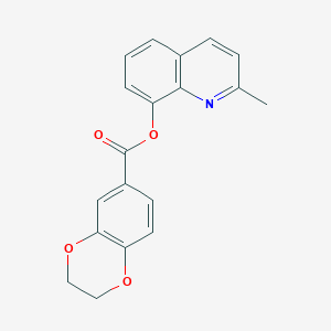 molecular formula C19H15NO4 B317630 2,3-Dihydro-benzo[1,4]dioxine-6-carboxylic acid 2-methyl-quinolin-8-yl ester 