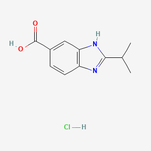 molecular formula C11H13ClN2O2 B3176805 2-Isopropyl-1H-benzoimidazole-5-carboxylic acid hydrochloride CAS No. 1158777-67-3