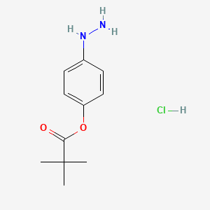 molecular formula C11H17ClN2O2 B3176866 4-Hydrazinylphenyl pivalate hydrochloride CAS No. 1187927-89-4