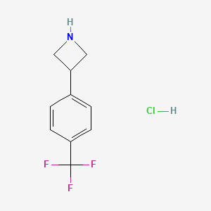 molecular formula C10H11ClF3N B3176888 3-[4-(三氟甲基)苯基]氮杂环丁烷盐酸盐 CAS No. 1203683-75-3