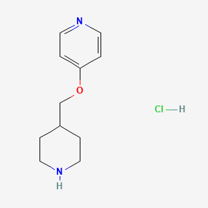 4-(Piperidin-4-ylmethoxy)pyridine hydrochloride