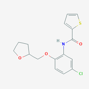 molecular formula C16H16ClNO3S B317776 N-[5-chloro-2-(tetrahydro-2-furanylmethoxy)phenyl]-2-thiophenecarboxamide 
