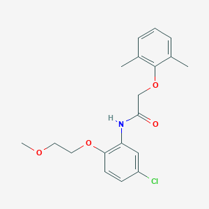 molecular formula C19H22ClNO4 B317806 N-[5-chloro-2-(2-methoxyethoxy)phenyl]-2-(2,6-dimethylphenoxy)acetamide 