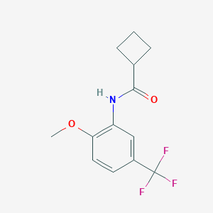 molecular formula C13H14F3NO2 B317843 N-[2-methoxy-5-(trifluoromethyl)phenyl]cyclobutanecarboxamide 
