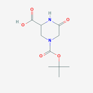 molecular formula C10H16N2O5 B3179005 4-(tert-Butoxycarbonyl)-6-oxopiperazine-2-carboxylic acid CAS No. 888220-71-1