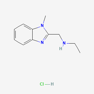 molecular formula C11H16ClN3 B3180064 N-((1-Methyl-1H-benzo[d]imidazol-2-yl)methyl)ethanamine hydrochloride CAS No. 1244949-04-9