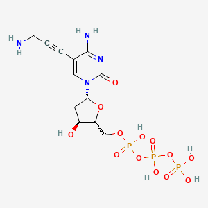 molecular formula C12H19N4O13P3 B3181737 ap-dCTP CAS No. 115899-39-3