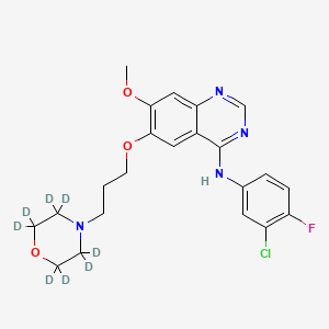 molecular formula C22H24ClFN4O3 B3182502 N-(3-chloro-4-fluorophenyl)-7-methoxy-6-[3-(2,2,3,3,5,5,6,6-octadeuteriomorpholin-4-yl)propoxy]quinazolin-4-amine CAS No. 857091-32-8