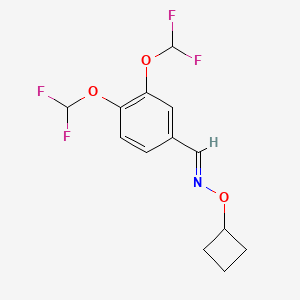 molecular formula C13H13F4NO3 B3182741 (E)-1-[3,4-Bis(difluoromethoxy)phenyl]-N-(cyclobutyloxy)methanimine CAS No. 1202859-91-3