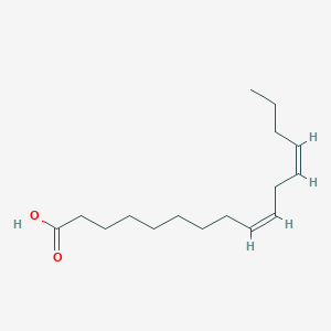 molecular formula C16H28O2 B3183024 9Z,12Z-十六二烯酸 CAS No. 5070-03-1