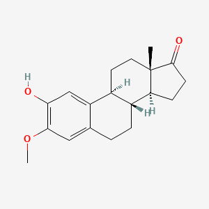 molecular formula C19H24O3 B3183067 Estra-1,3,5(10)-trien-17-one, 2-hydroxy-3-methoxy- CAS No. 5976-63-6