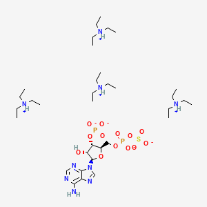 molecular formula C34H75N9O13P2S B3183358 3'-磷酸腺苷5'-磷酸硫酸三乙铵盐 CAS No. 936827-87-1