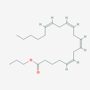 molecular formula C23H38O2 B3183373 Arachidonic acid propyl ester CAS No. 93913-74-7