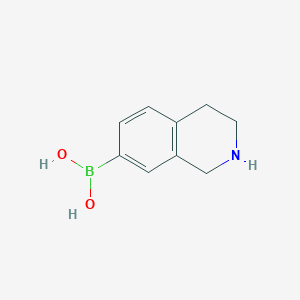 molecular formula C9H12BNO2 B3184319 1,2,3,4-四氢异喹啉-7-硼酸 CAS No. 1096359-11-3